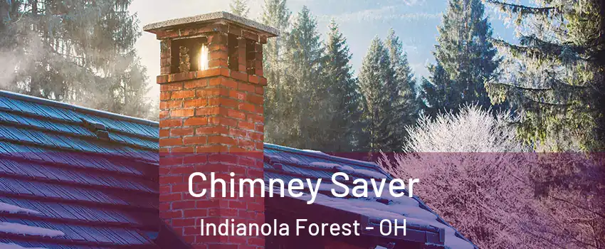 Chimney Saver Indianola Forest - OH
