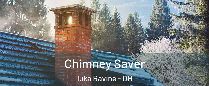 Chimney Saver Iuka Ravine - OH