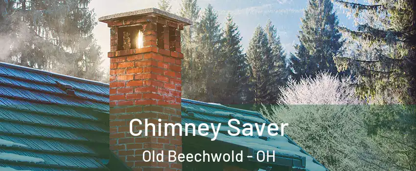 Chimney Saver Old Beechwold - OH