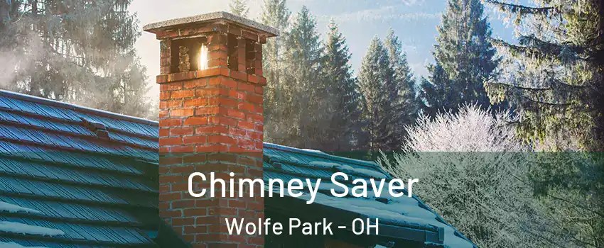 Chimney Saver Wolfe Park - OH