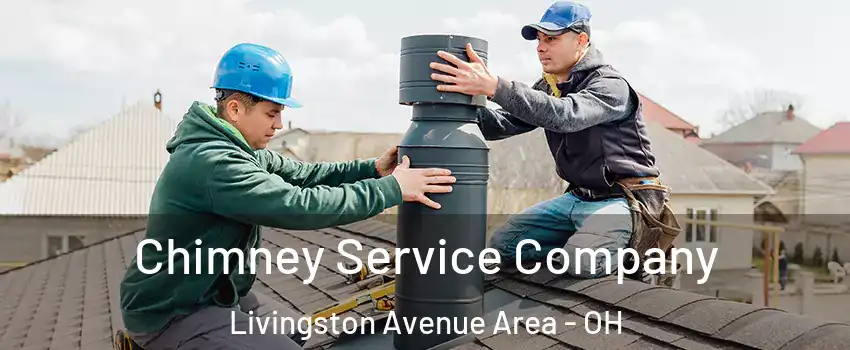 Chimney Service Company Livingston Avenue Area - OH