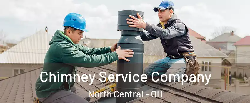 Chimney Service Company North Central - OH