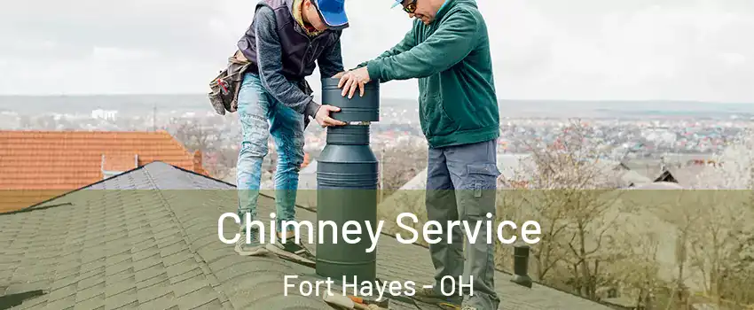 Chimney Service Fort Hayes - OH