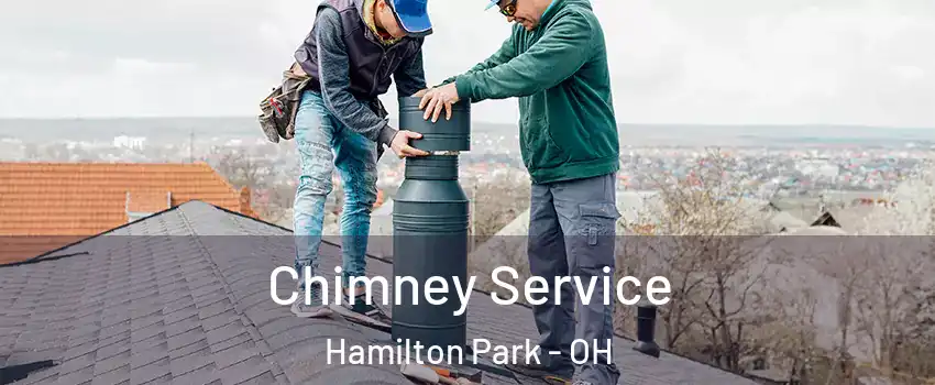 Chimney Service Hamilton Park - OH