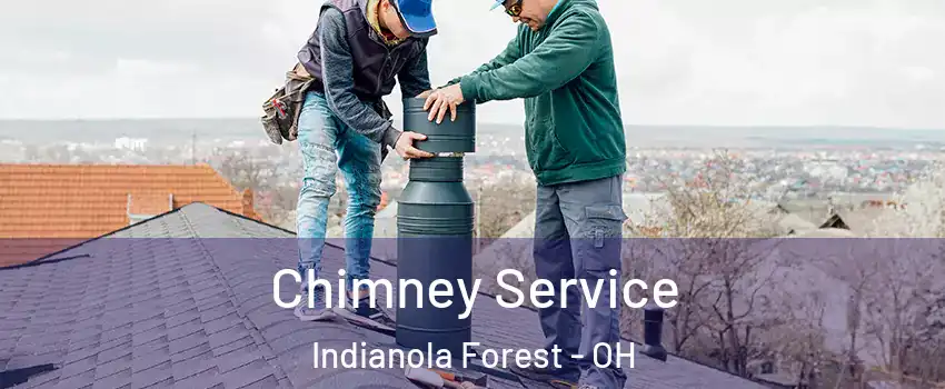 Chimney Service Indianola Forest - OH