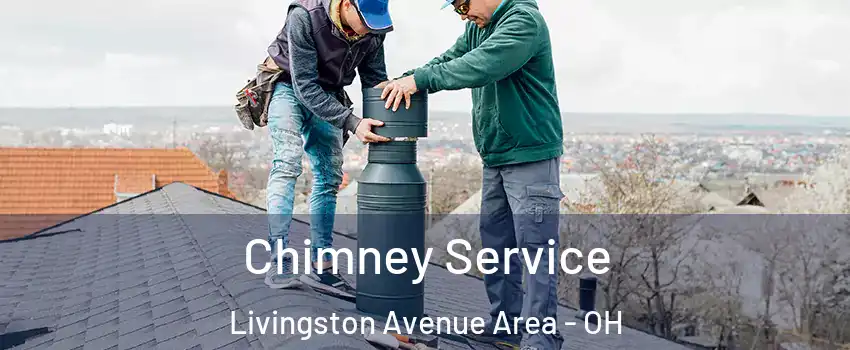 Chimney Service Livingston Avenue Area - OH