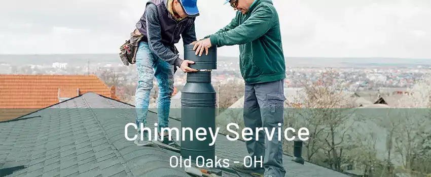 Chimney Service Old Oaks - OH