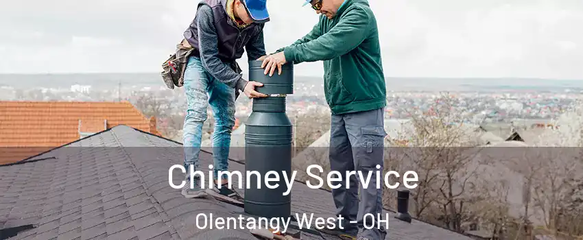Chimney Service Olentangy West - OH