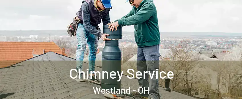 Chimney Service Westland - OH