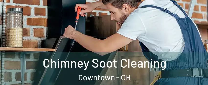 Chimney Soot Cleaning Downtown - OH