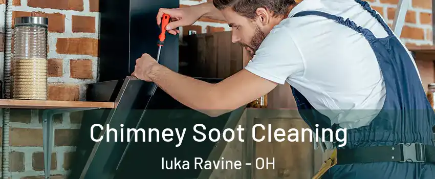 Chimney Soot Cleaning Iuka Ravine - OH