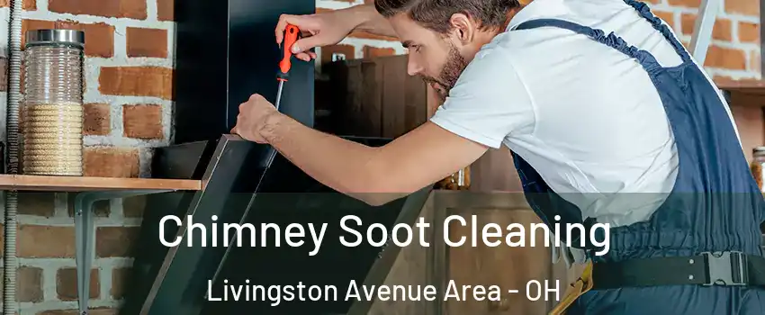 Chimney Soot Cleaning Livingston Avenue Area - OH