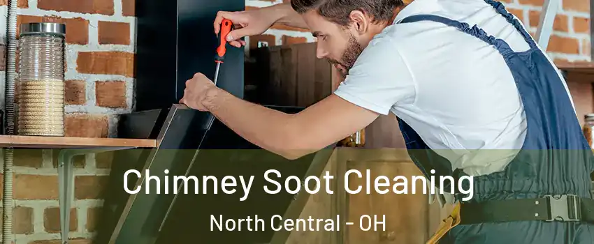 Chimney Soot Cleaning North Central - OH