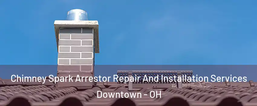 Chimney Spark Arrestor Repair And Installation Services Downtown - OH
