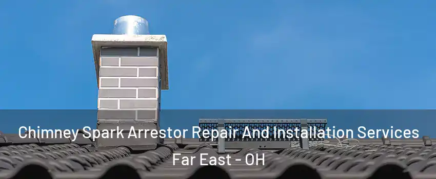 Chimney Spark Arrestor Repair And Installation Services Far East - OH
