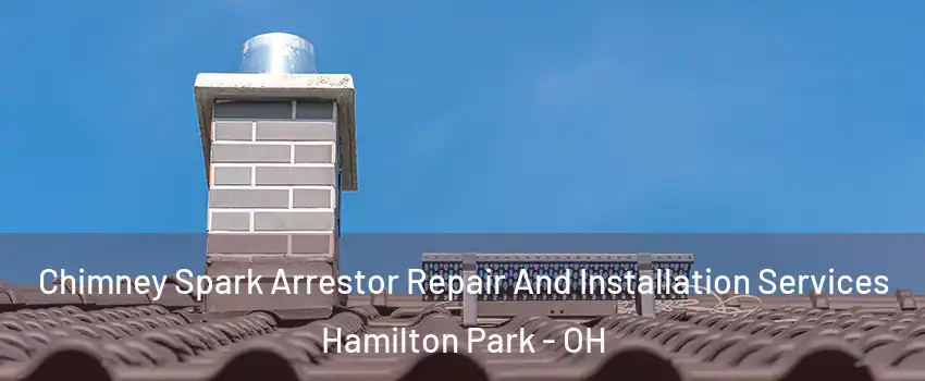 Chimney Spark Arrestor Repair And Installation Services Hamilton Park - OH