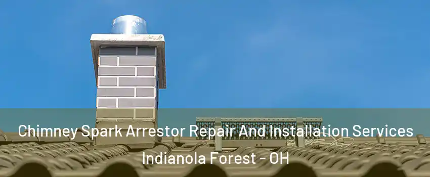 Chimney Spark Arrestor Repair And Installation Services Indianola Forest - OH