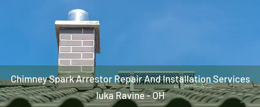 Chimney Spark Arrestor Repair And Installation Services Iuka Ravine - OH