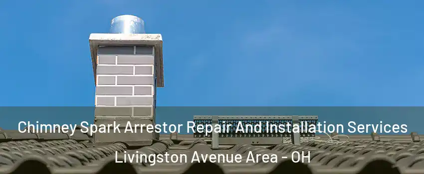 Chimney Spark Arrestor Repair And Installation Services Livingston Avenue Area - OH