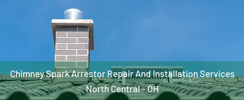 Chimney Spark Arrestor Repair And Installation Services North Central - OH