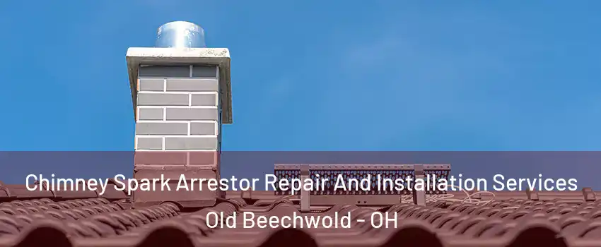 Chimney Spark Arrestor Repair And Installation Services Old Beechwold - OH