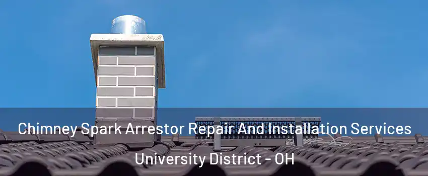 Chimney Spark Arrestor Repair And Installation Services University District - OH