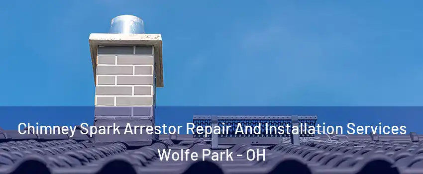 Chimney Spark Arrestor Repair And Installation Services Wolfe Park - OH