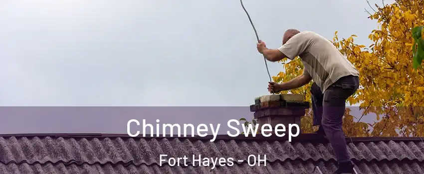 Chimney Sweep Fort Hayes - OH