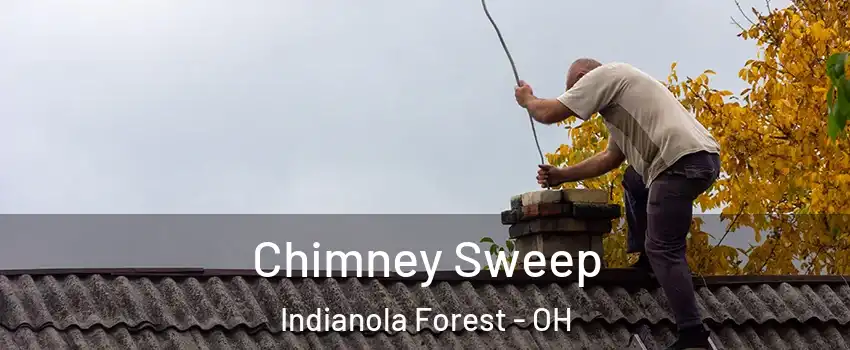 Chimney Sweep Indianola Forest - OH