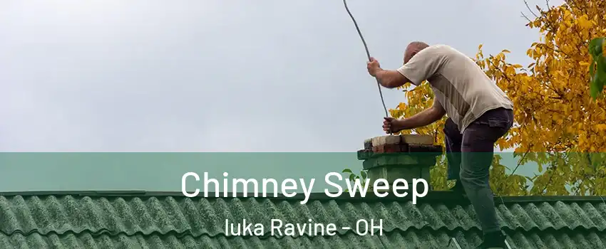 Chimney Sweep Iuka Ravine - OH