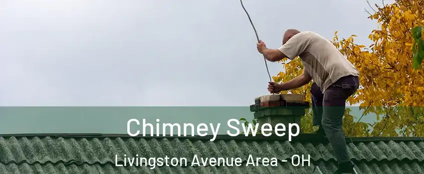 Chimney Sweep Livingston Avenue Area - OH