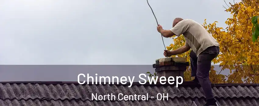 Chimney Sweep North Central - OH