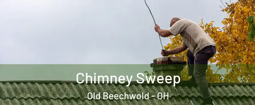 Chimney Sweep Old Beechwold - OH