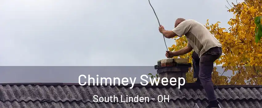 Chimney Sweep South Linden - OH