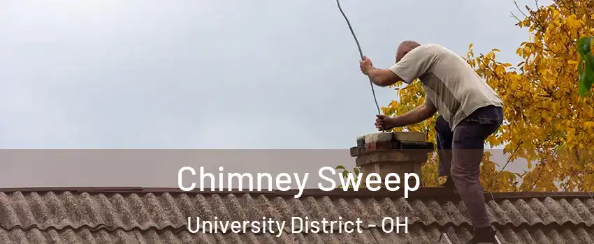 Chimney Sweep University District - OH