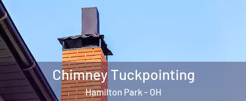 Chimney Tuckpointing Hamilton Park - OH