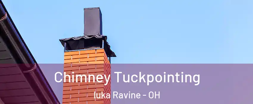 Chimney Tuckpointing Iuka Ravine - OH