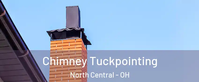 Chimney Tuckpointing North Central - OH