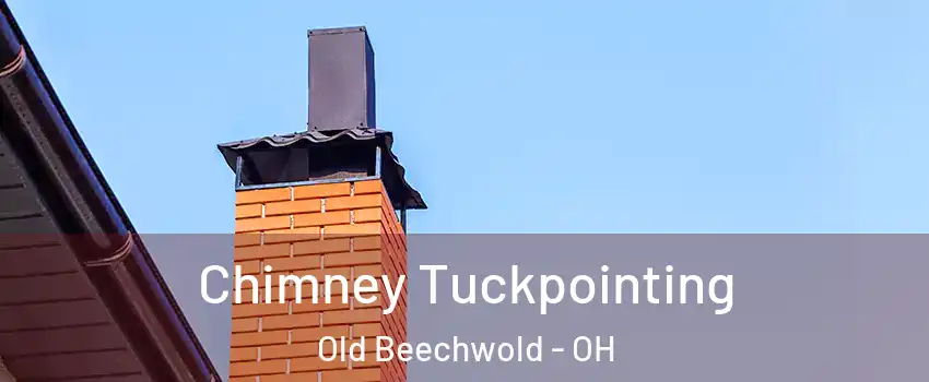 Chimney Tuckpointing Old Beechwold - OH