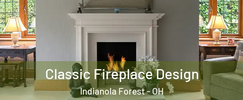 Classic Fireplace Design Indianola Forest - OH