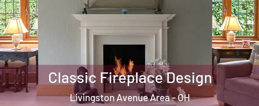Classic Fireplace Design Livingston Avenue Area - OH