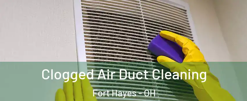 Clogged Air Duct Cleaning Fort Hayes - OH