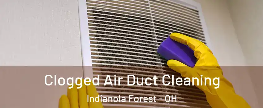 Clogged Air Duct Cleaning Indianola Forest - OH