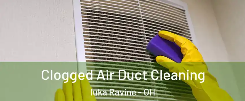 Clogged Air Duct Cleaning Iuka Ravine - OH