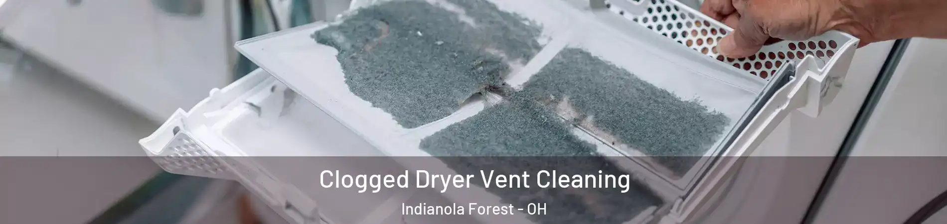 Clogged Dryer Vent Cleaning Indianola Forest - OH