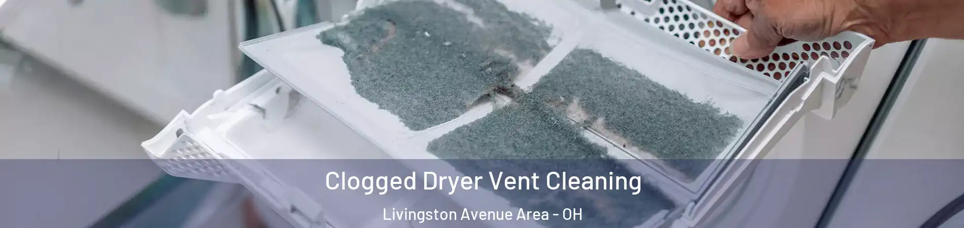 Clogged Dryer Vent Cleaning Livingston Avenue Area - OH