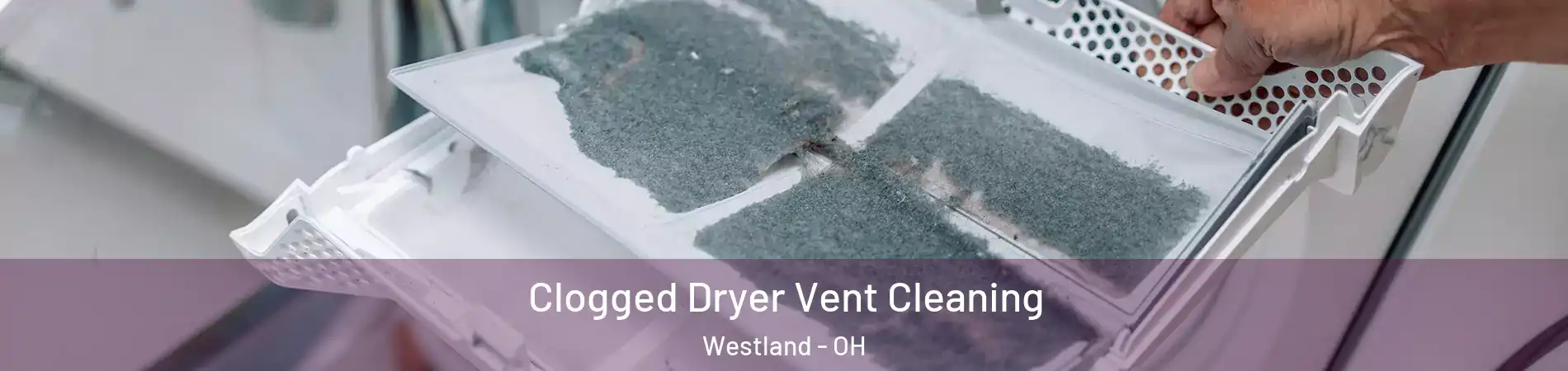 Clogged Dryer Vent Cleaning Westland - OH