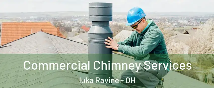 Commercial Chimney Services Iuka Ravine - OH