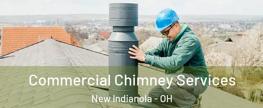 Commercial Chimney Services New Indianola - OH
