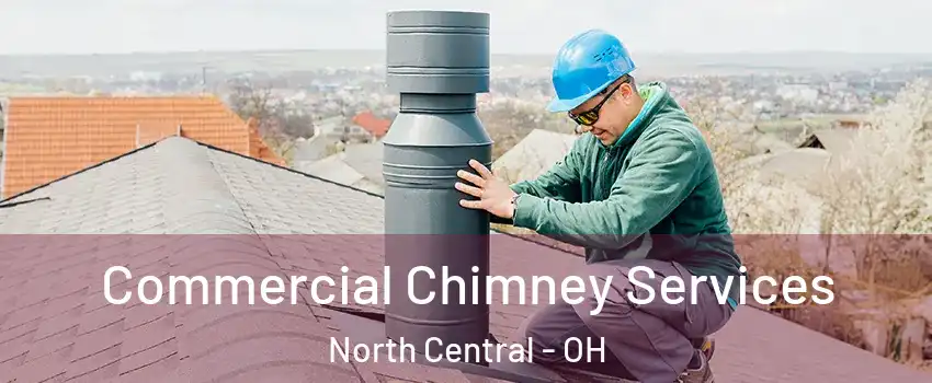 Commercial Chimney Services North Central - OH